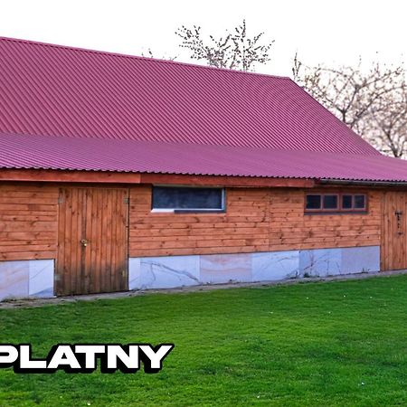 Agroturystyka Nielisz Zamosc - Kwatery Przy Skansenie Екстериор снимка